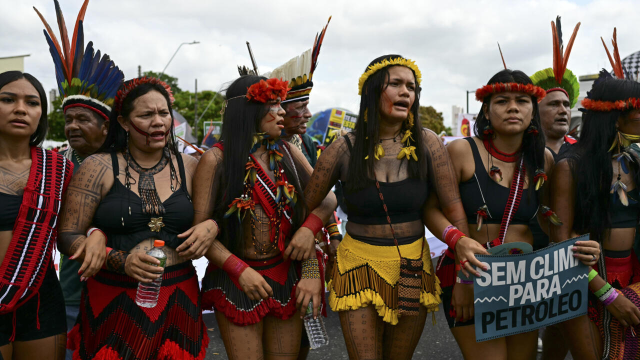 ExtinctionR's tweet card. Conservative delegations from the Vatican to Iran are pushing to narrow the definition of "gender" at UN climate talks in Brazil -- a move aimed at excluding trans and non-binary people and threate...