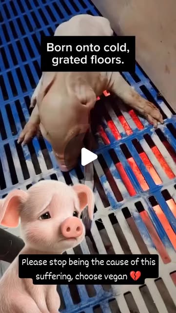 RavenTW's tweet card. Trish Raven (@raventw) • Instagram reel