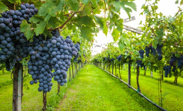 cfleach1's tweet card. “Thus says the Lord of hosts: ‘In this place which is desolate, without man and without beast, and in all its cities, there shall again be a dwelling place of shepherds causing …