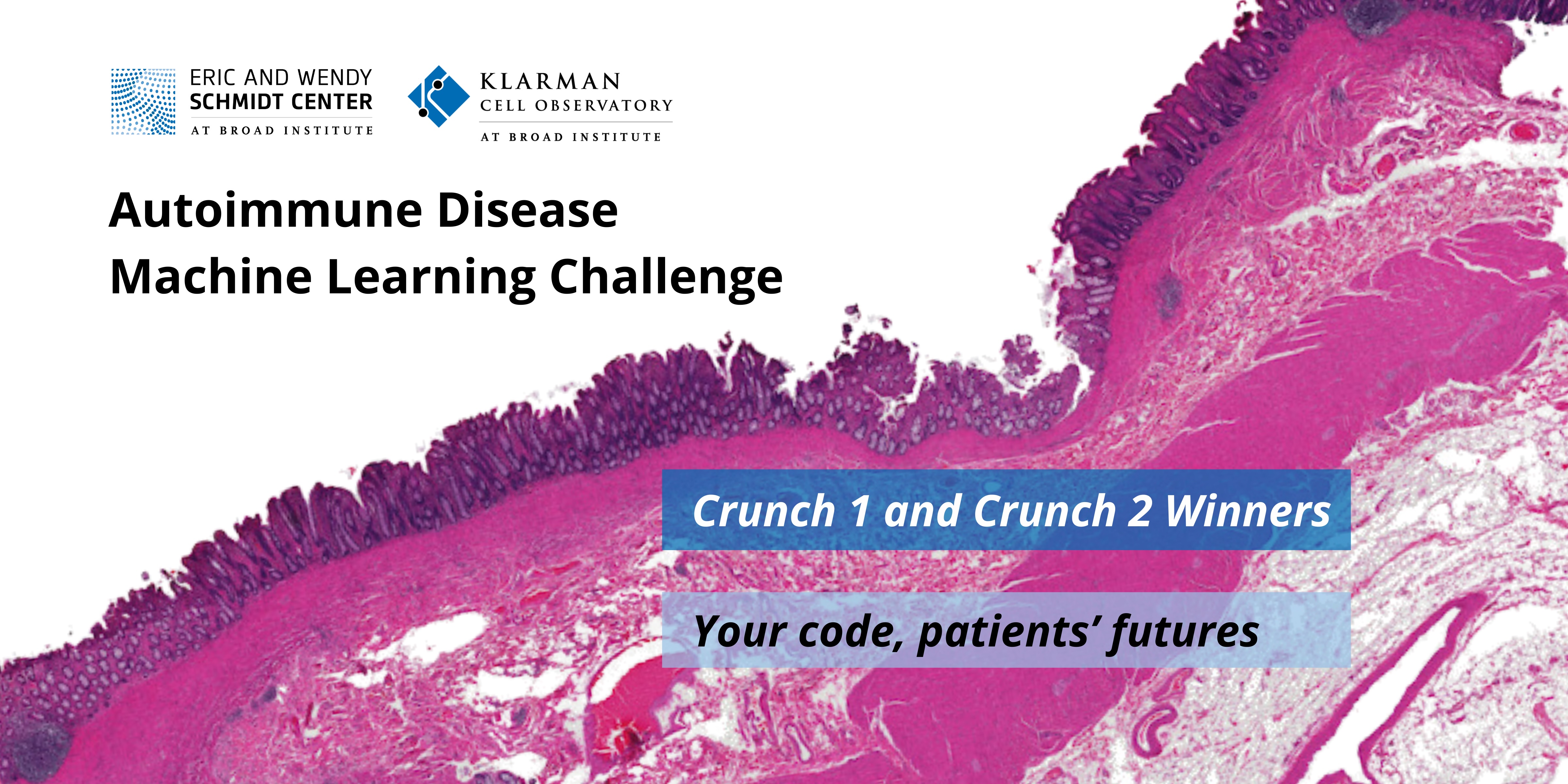 Schmidt_Center's tweet card. The Eric and Wendy Schmidt Center and Klarman Cell Observatory (KCO) at the Broad Institute’s latest machine learning challenge attracted nearly 1,000 experts from 62 countries to solve the problem...