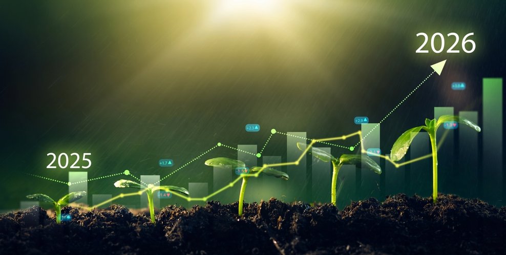 selfientdavid's tweet card. History repeats itself on fairly predictable cycles…..