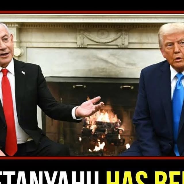 SourceFind's tweet card. Occupy Democrats (@occupydemocrats) • Instagram photo