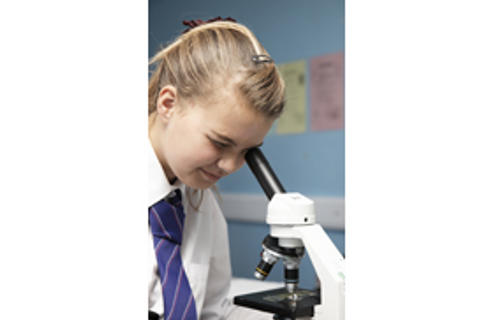 googoorb's tweet card. Ark Charter Academy, United Kingdom