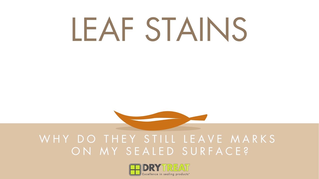 StoneProtection's tweet card. Porous Materials - Common Problems: Leaf Stains