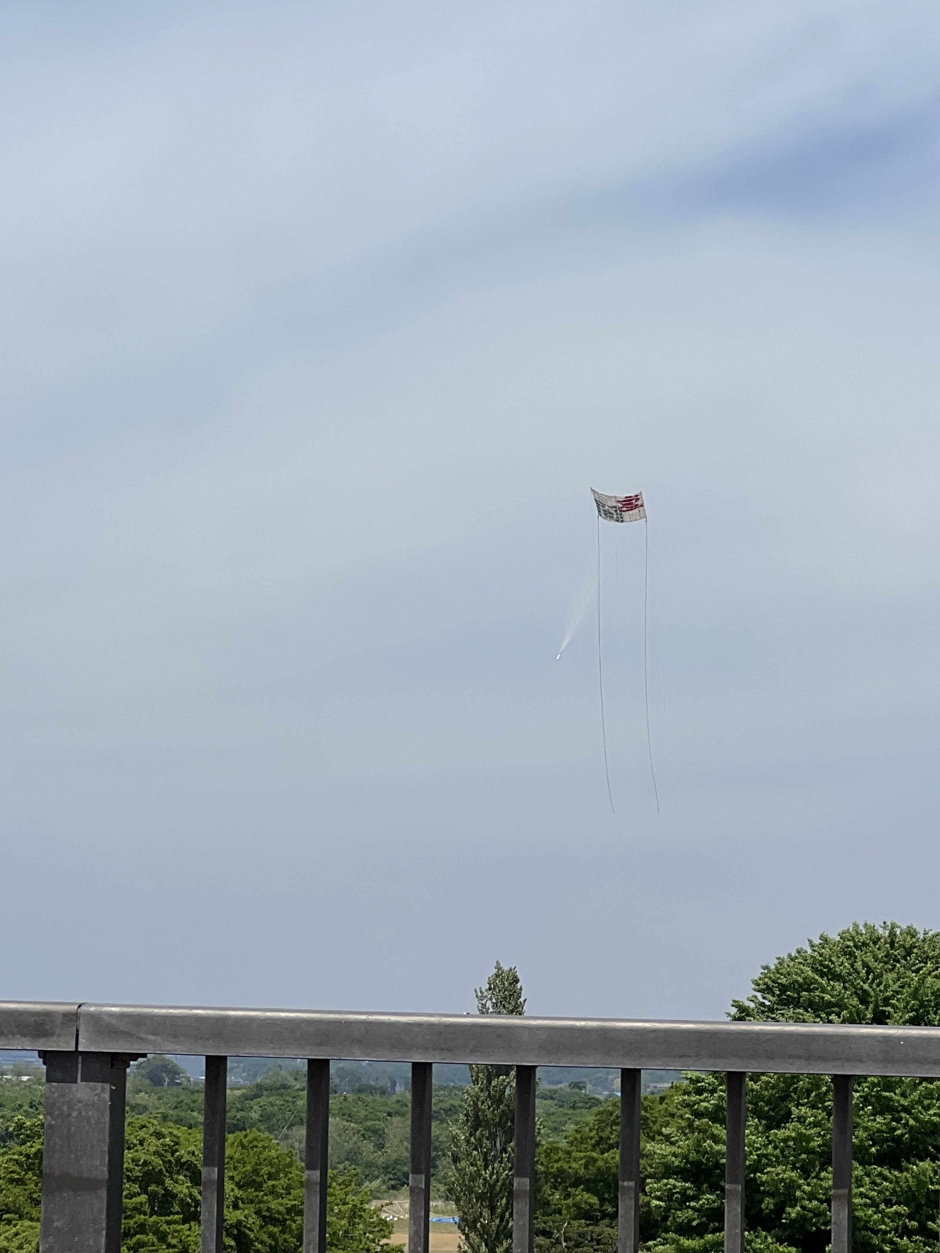 GreenTable's tweet card. 座間の大凧祭り タイミングで どーぞィ‼︎ 046-257-7422