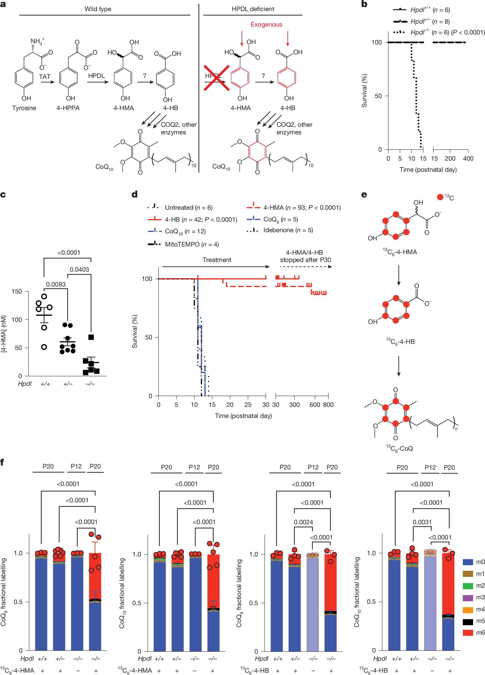 MichaelPacold's tweet card. Nature - Decreased brain coenzyme Q10 levels cause encephalopathy and are associated with neurodegeneration; supplementation with 4-HMA or 4-HB restores coenzyme Q10 synthesis in mice and humans...