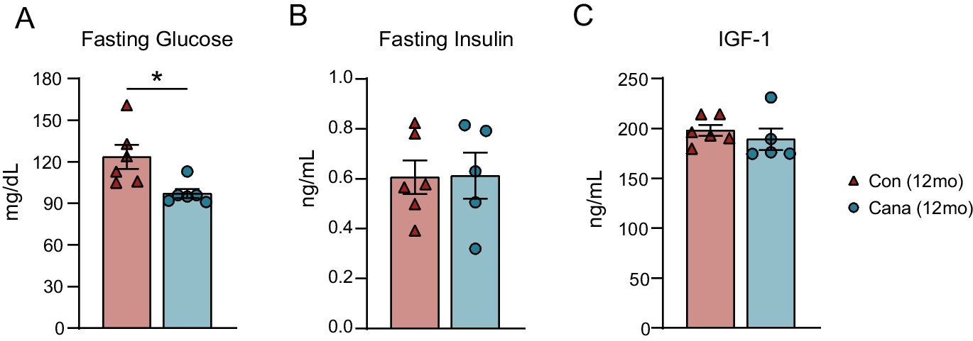 sadagurski's tweet card. GeroScience - Ovarian aging is characterized by declines in follicular reserve and the emergence of mitochondrial dysfunction, reactive oxygen species production, inflammation, and fibrosis, which...