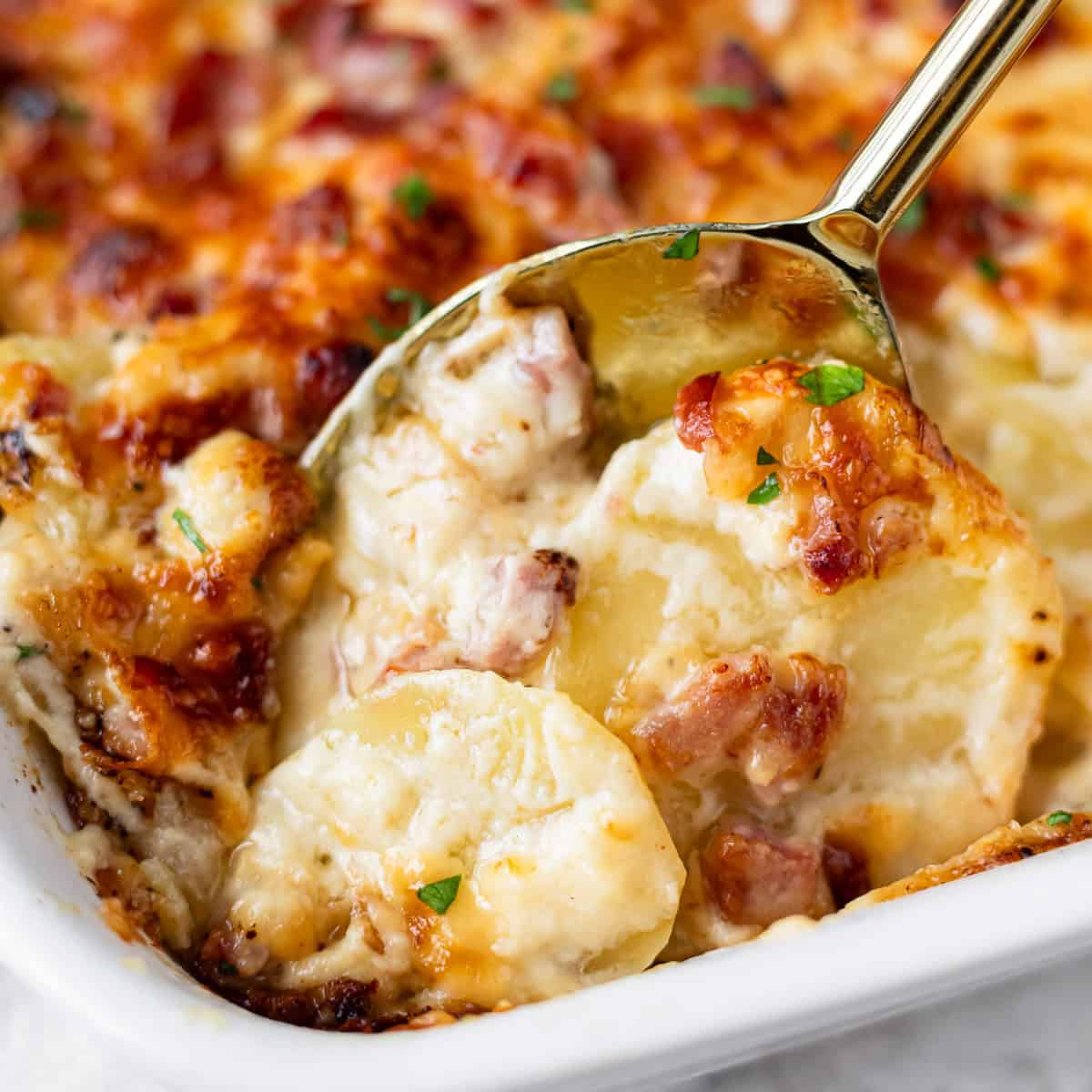 servfromscratch's tweet card. Scalloped Potatoes and Ham is a rich and creamy side dish made with thinly sliced potatoes and salty bits of ham in a cheesy sauce. Enjoy it as a side or as the main dish.
