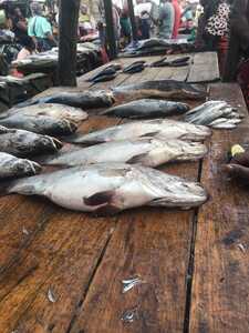 Digxam's tweet card. Location Niko MWANZA Mjini Weka Odar yako nikuhudumie. Hata kama ni nje ya nchi nakutumia.