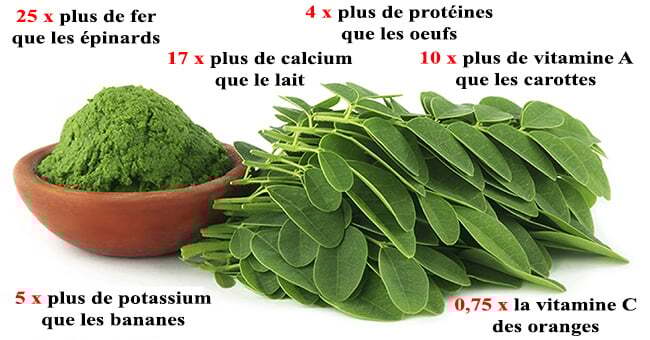 ahmedyahyaoui20's tweet card. Avez-vous entendu parler du moringa? Cette plante suscite une assez grande agitation dans le milieu de la santé. Le moringa est souvent utilisé dans les plats de sud de l’Inde pour son goût et...