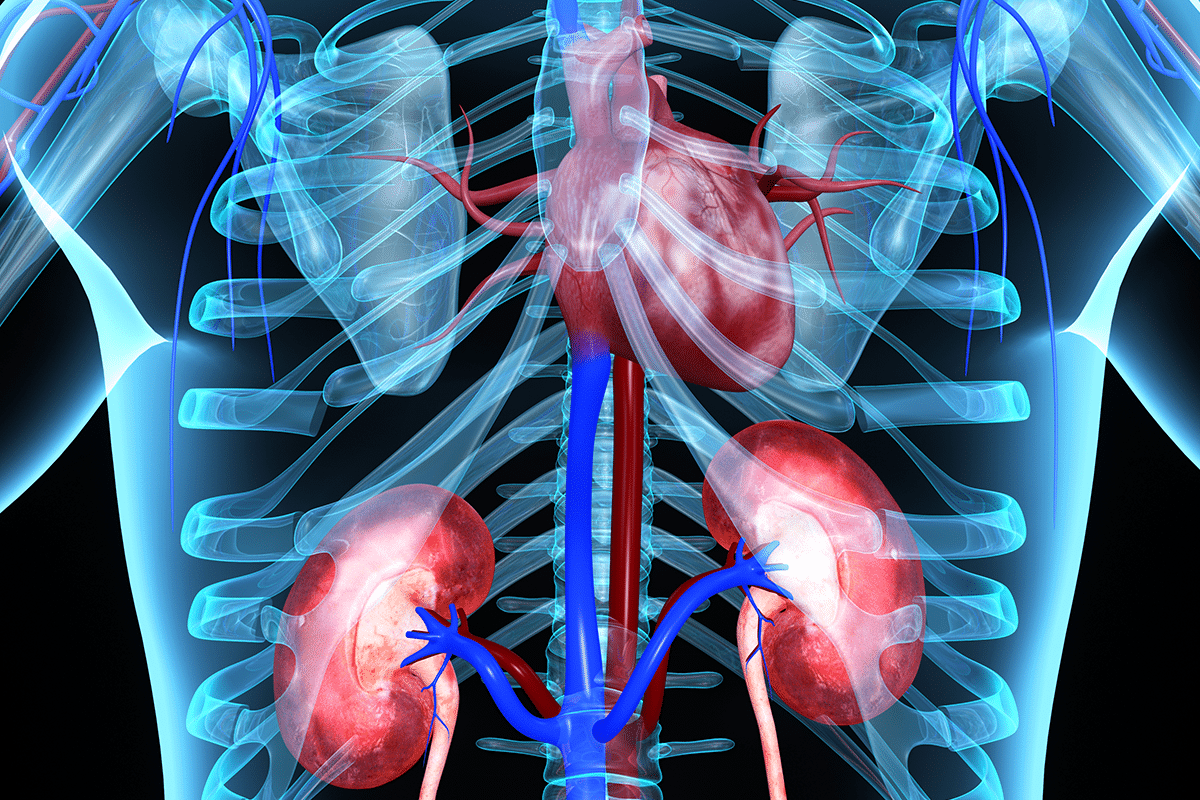 cmeoutfitters's tweet card. A major hurdle in managing type 2 diabetes (T2D) is a widespread gap in clinician awareness around the powerful, far-reaching benefits of GLP-1 receptor agonists (GLP-1 RAs). These innovative...