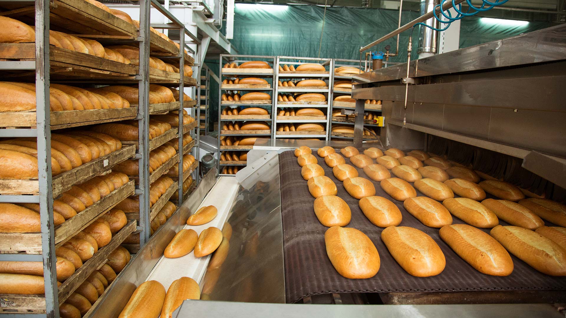 soar_innovation's tweet card. York Region is home to a thriving agriculture and agri-food sector that is home to the Holland Marsh and over 600 farms. Come explore.