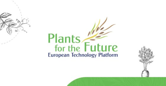 SciSustAg's tweet card. Press Release 6th November 2024 EU funding allocation to R&I in plant breeding has been going down despite a 42% increase of total funds for Horizon Europ