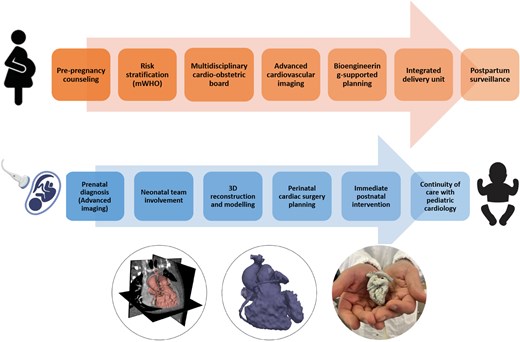 ShehabAnwer's tweet card. The rise of cardio-obstetrics as a dedicated specialty reflects a growing awareness that pregnancy, while physiological, represents a period of significant