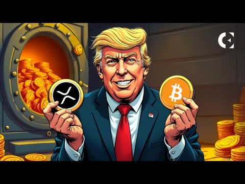 XRPlayerPlayer's tweet card. XRP ETFs ARE ON DECK! & THEY ARE UP NEXT!