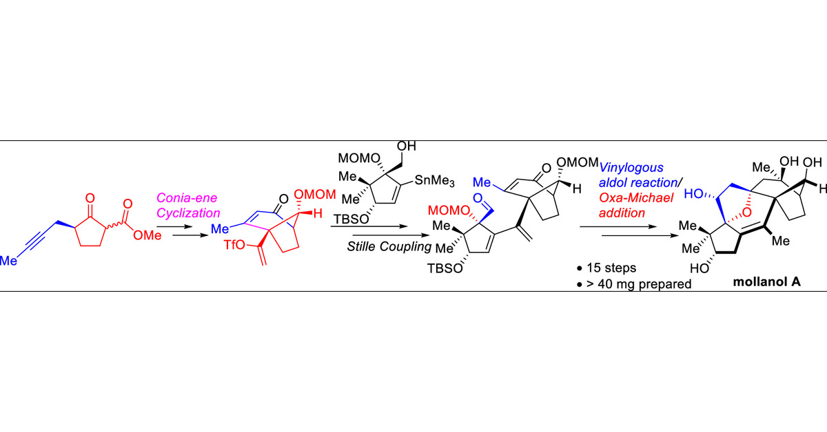 SASnyderLab's tweet card. Mollanol A is the first isolated member of the mollane-type grayanoids which possesses an unprecedented C-nor-D-homograyanane carbon skeleton and an 5,8-epoxide. Due to its transcriptional activation...