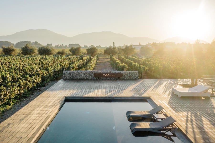 miladovcom's tweet card. From emerald Douro slopes to Mendoza’s sweeping plains—here are the world’s 50 best wineries, ranked by data experts at Virgin Wines.