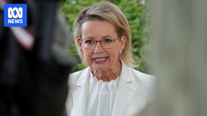 peter_r_draper's tweet card. The most authoritative snapshot of where the global energy transition is going has just been released at a most opportune moment for any politician weighing which direction Australia should pursue.  