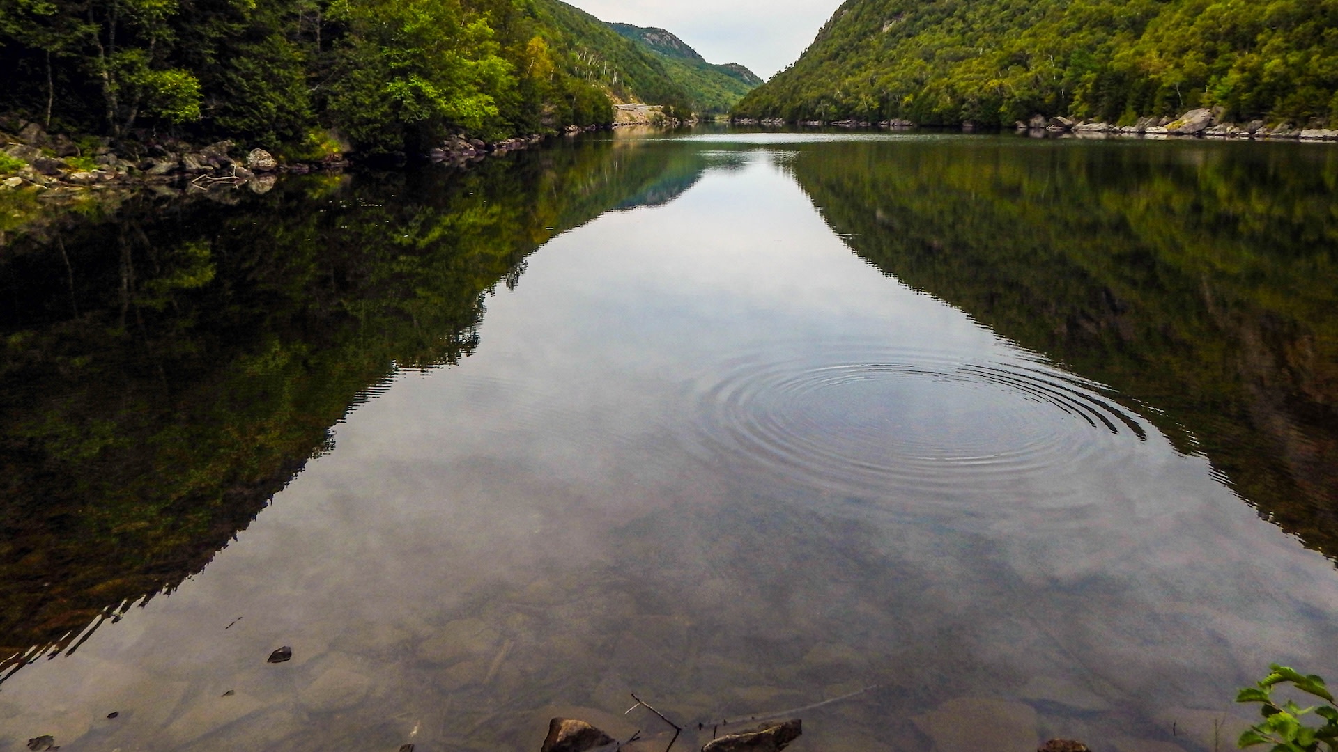 Arthur59611540's tweet card. Microplastics are everywhere, polluting the air, the dirt, our bodies, and our water sources.