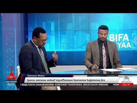 Adamu17454372's tweet card. 1 November 2025