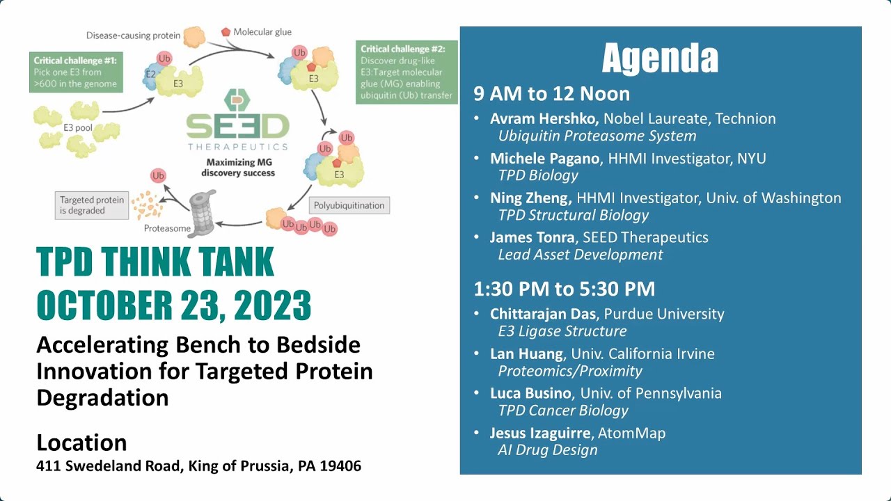 BeyondSpringInc's tweet card. TPD Think Tank Highlights