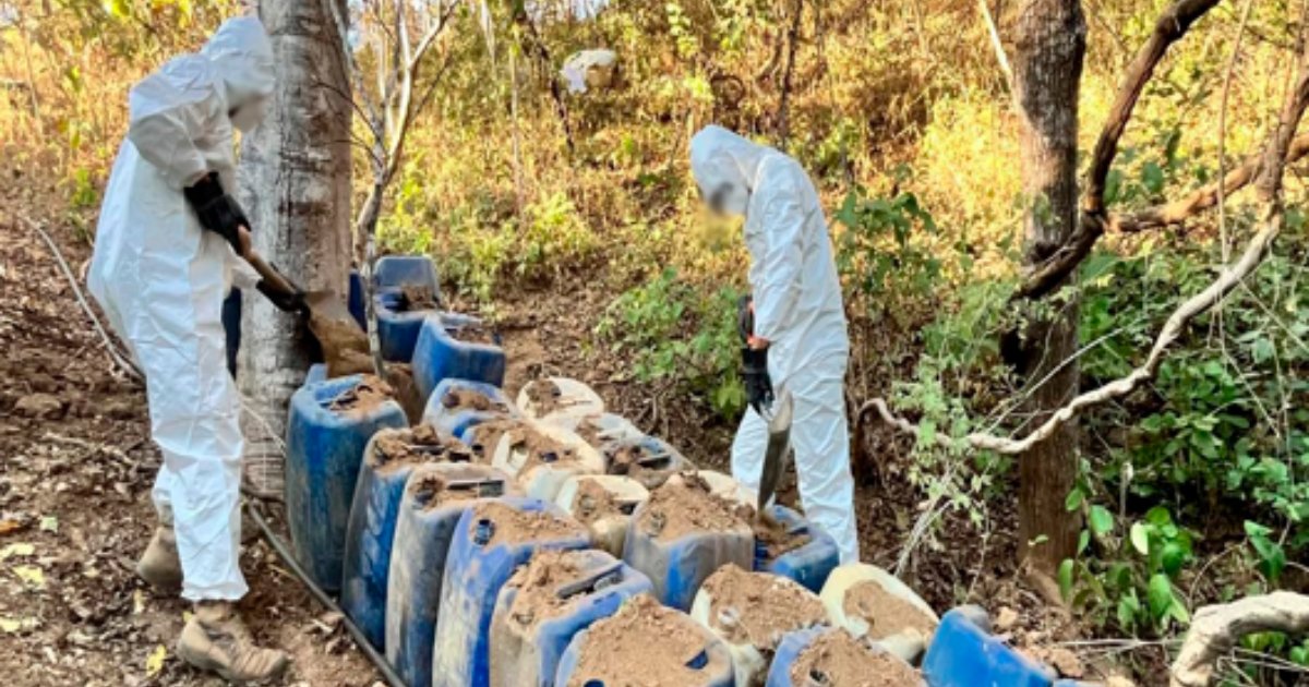 heraldousa's tweet card. 6,921 firearms, 1,192,948 rounds of ammunition of various calibers, 31,808 magazines, and 109,776.9 kg of drugs, including 494 kg of fentanyl, 5,622 vehicles, and 1,096 properties have been seized.