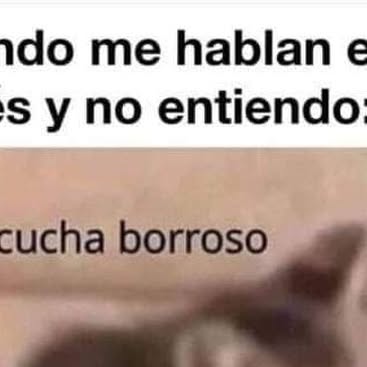 Checkmate_eng's tweet card. Checkmate English ⚜️ (@checkmate_en) • Instagram photo