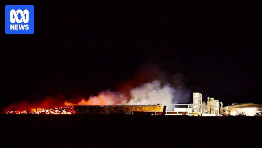 abcadelaide's tweet card. A huge pile of almond husks has spontaneously ignited in the Riverland, putting firefighters and farmers on alert.