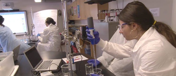 GreatSchools's tweet card.  