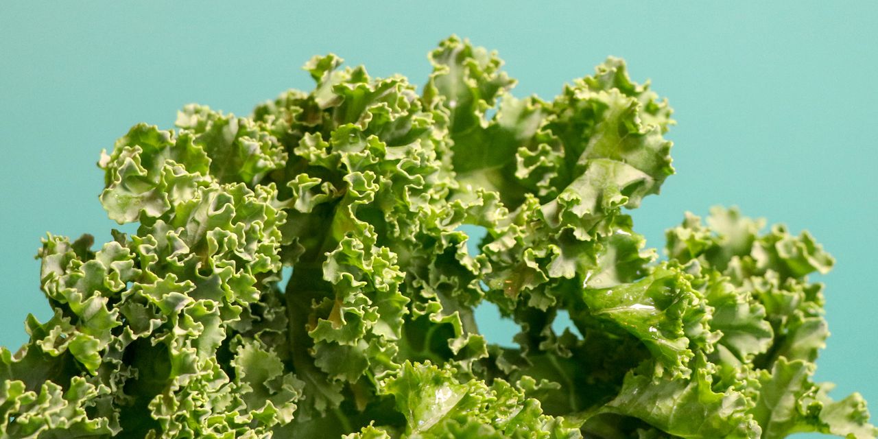 TylerProjectOrg's tweet card. Your diet can affect *all* of your organs—brain included.