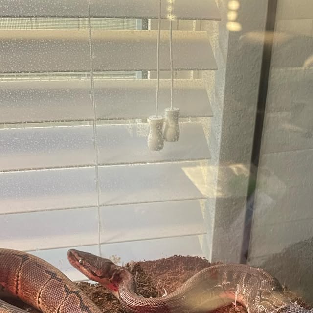 mikeyhasabeard's tweet card. Michael Shearer (@suburban.dad_fit) • Instagram photo