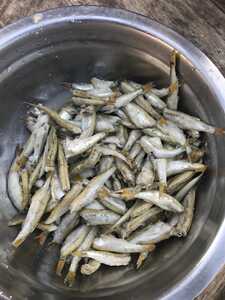 Digxam's tweet card. Kuna virutubisho vingi sana kwenye Dagaa wabichi.