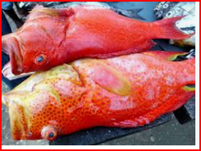 Digxam's tweet card. Tumalize huu utata.