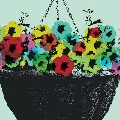 Tweet card summary image