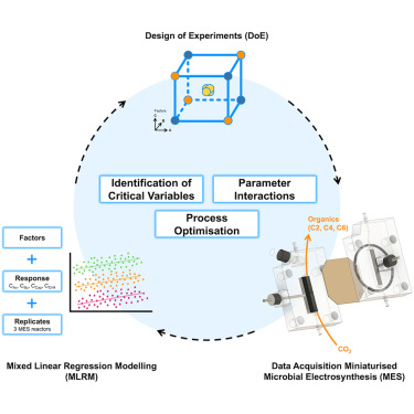 CellRepPhysSci's tweet card. Zegers et al. present a statistical roadmap for microbial electrosynthesis, combining design of experiments and mixed linear regression to identify pathway drivers. The analysis identifies CO2 and pH...