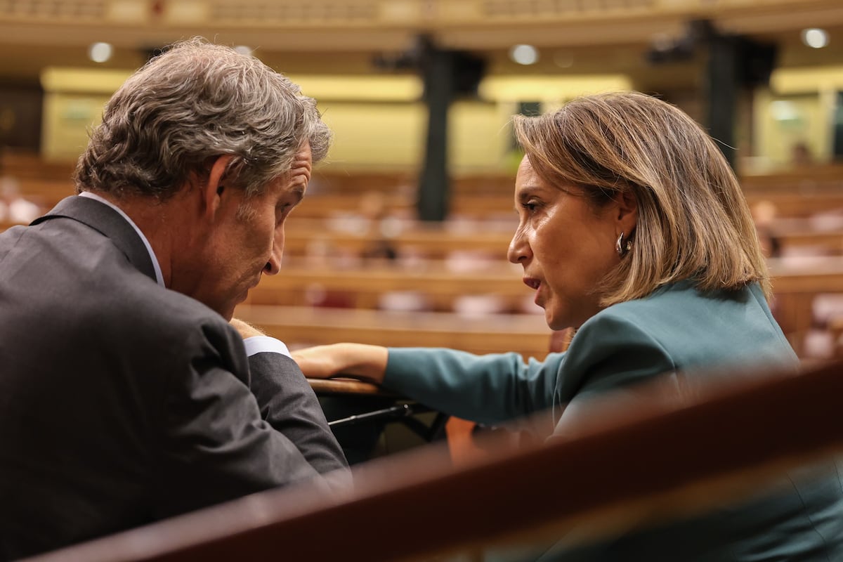 oscar_puente_'s tweet card. El organismo, que reabrió en junio la investigación por orden el Tribunal Superior de Justicia de Madrid, no halla irregularidades tras recabar más documentación