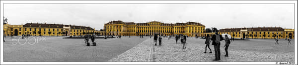 anandkumarn's tweet card. Explore 'Selective colouring' curated by Anandkumar N on 500px. Discover top photography collections and get inspired by stunning visuals.