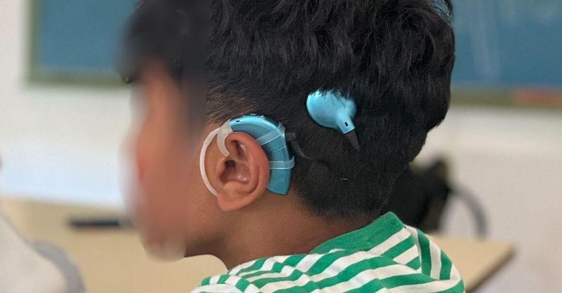 huelva_info's tweet card. La familia pide que si alguien lo encuentra lo devuelva a las autoridades: "