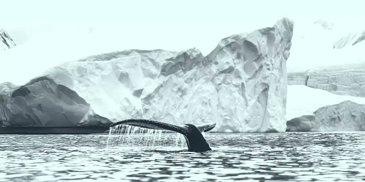 jdevorah's tweet card. A platform for stories, solutions, and community action to protect the ocean, tackle the climate crisis, and help build a more just, equitable planet.