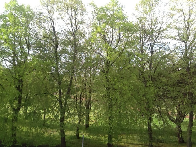 FunPaul's tweet card. Keeping green space in the City and ensuring everyone can enjoy the park