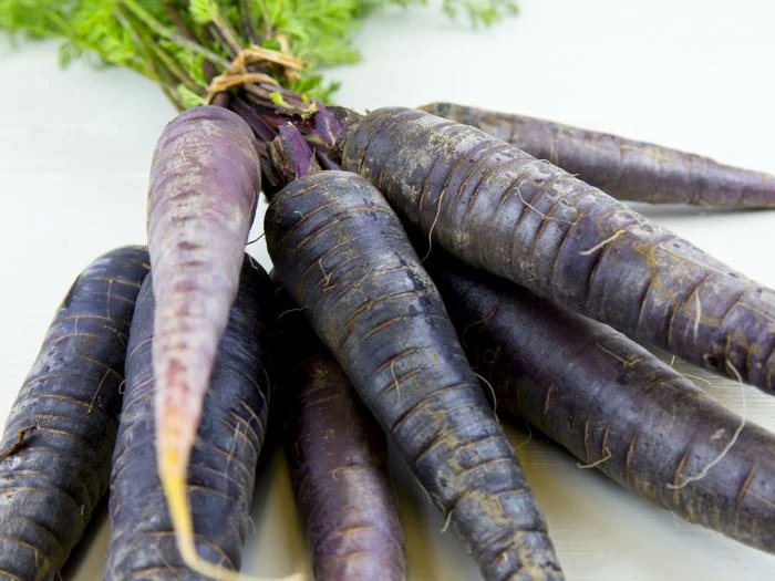 GNGAgritech's tweet card. Many people may have never seen or eaten a black carrots , but this carrot variety is quite common in other parts of the world such as countries,