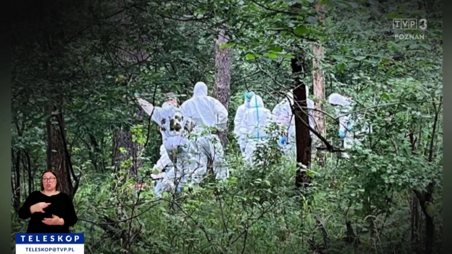 TVP3_Poznan's tweet card. O tej sprawie było głośno w całym kraju. W czerwcu ubiegłego roku znaleziono ciało 39-letniej Natalii z podpoznańskiej miejscowości Gortatowo. Prokuratura o...