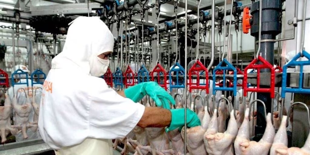 Capexpy's tweet card. De enero a octubre, los envíos de productos avícolas generaron USD 8.926.245 al cierre del décimo mes del año ya que se enviaron 8.334 toneladas de carne, menudencias y despojos a los diferentes...