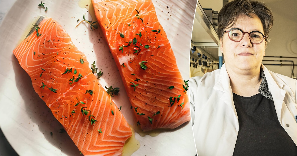 ImogenFoubert's tweet card. Wil je voldoende omega 3 binnenkrijgen, wat nodig is voor je gezondheid, dan zet je best vette vis zoals zalm op het menu. “Maar een klassiek westers voedingspatroon mist belangrijke hoeveelheden...