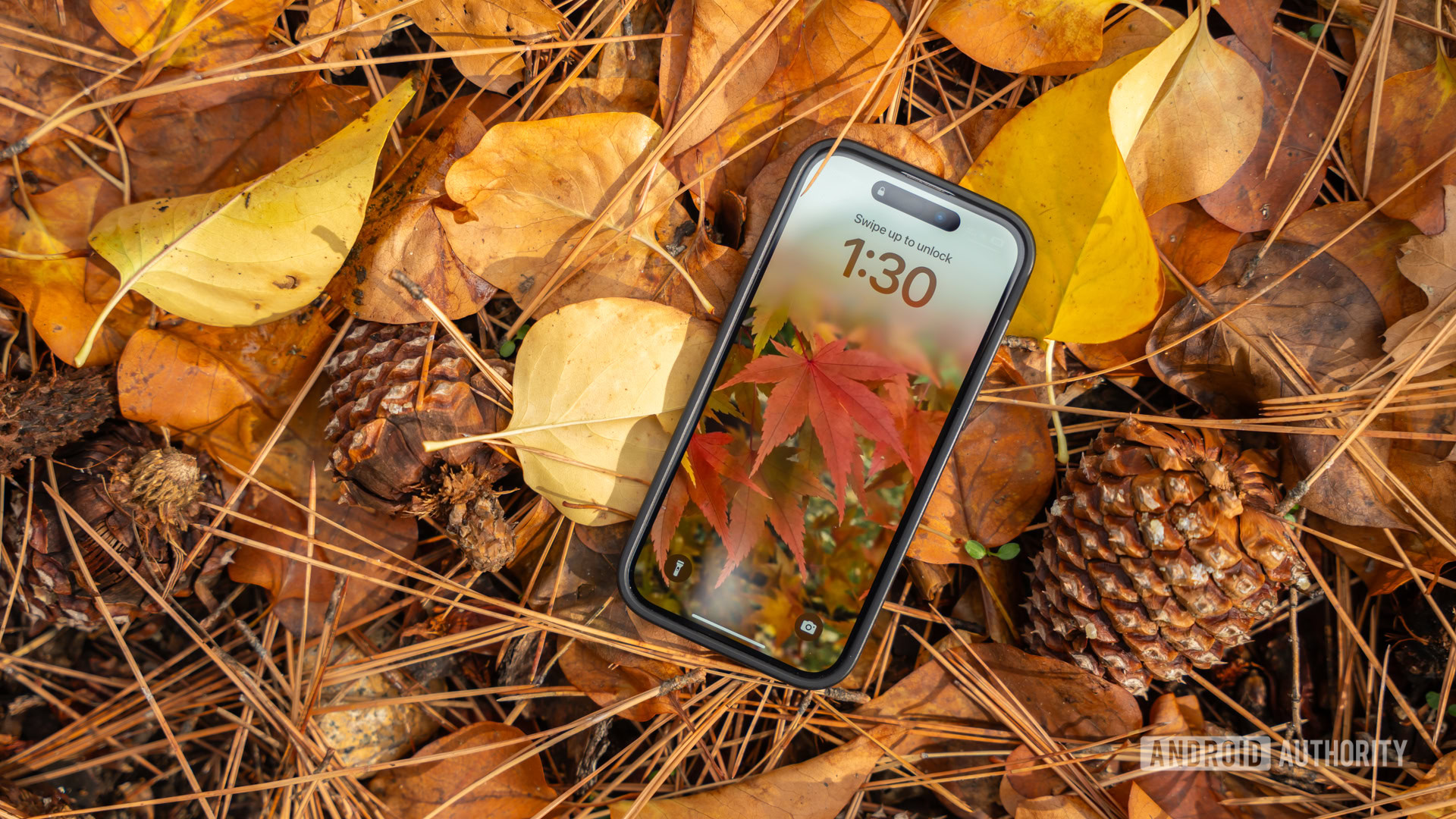 AndroidAuth's tweet card. Looking for some new Android wallpapers? Here's the Android Authority Wallpaper Wednesday roundup for November 19, 2025.