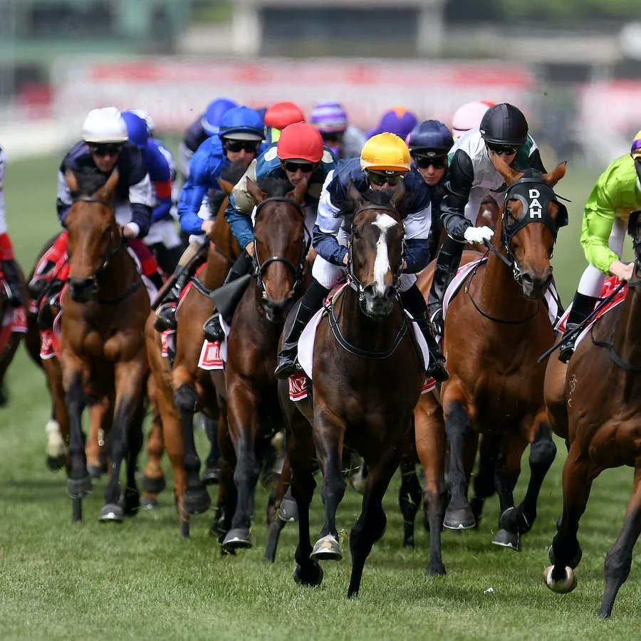 PuntFormPro's tweet card. Runner-by-runner preview and best bets for the 2025 Melbourne Cup at Flemington. Brought to you by the team at Punt Form Pro