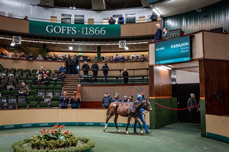 tbSalesTech's tweet card. The 169 foals sold Nov. 19 brought turnover of €18,359,000, which was almost identical to 12 months ago, the average price dipped by 5% at €108,635, and the median was down 3% at €78,000.