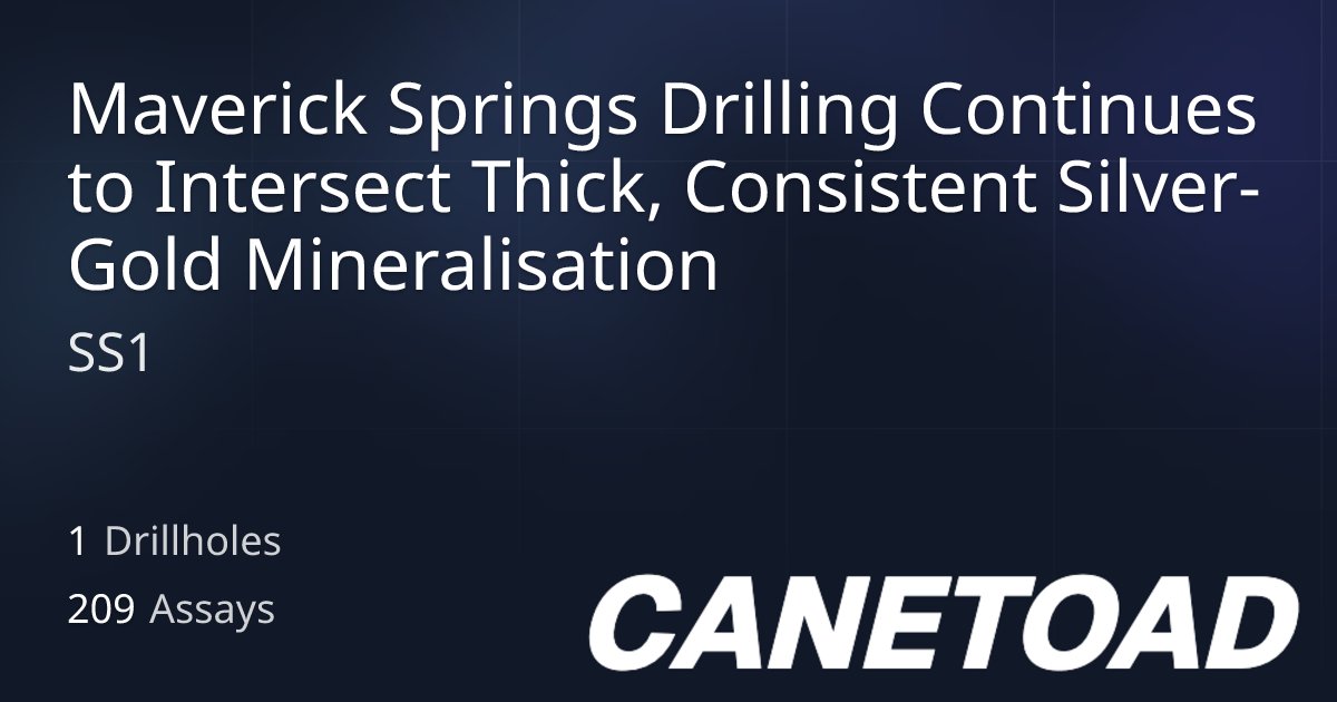 TerryCanetoad's tweet card. Drilling report from SS1 published on 2025-11-20.