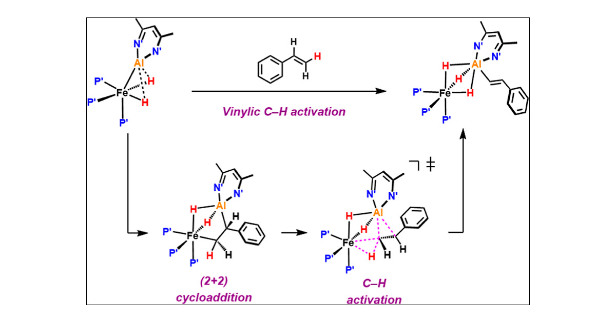 J_A_C_S's tweet card. The oxidative addition of sp2 C–H bonds of alkenes to single-site transition-metal complexes is complicated by the competing π-coordination of the C═C double bond, limiting the examples of this type...