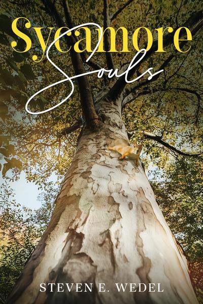 stevewedel's tweet card. Sycamore Souls by Steven E. Wedel